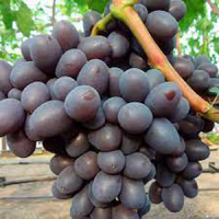 подарок 5